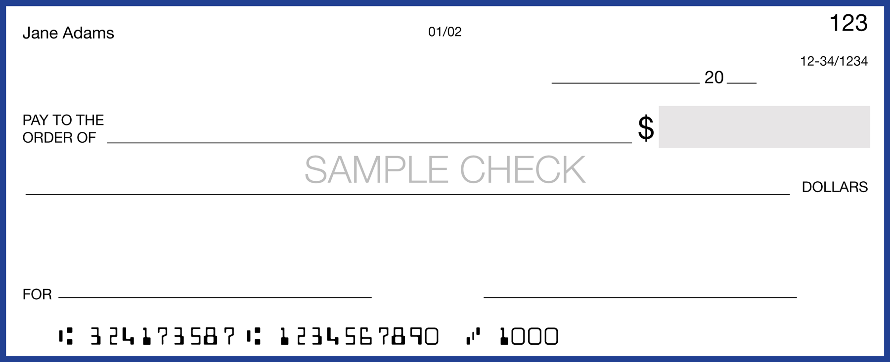 Advantage Plus Check